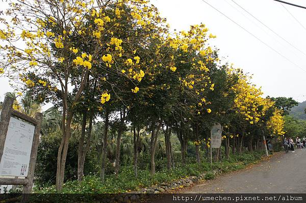 DSC00112.JPG DSC00112.JPG