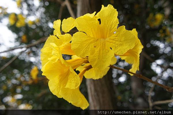 DSC00116.JPG DSC00116.JPG