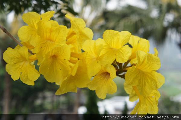 DSC00117.JPG DSC00117.JPG