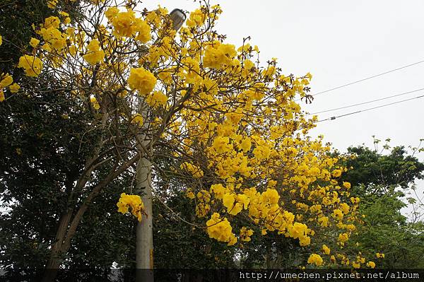 DSC00118.JPG DSC00118.JPG