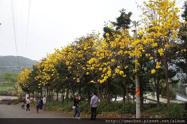 DSC00120.JPG DSC00120.JPG