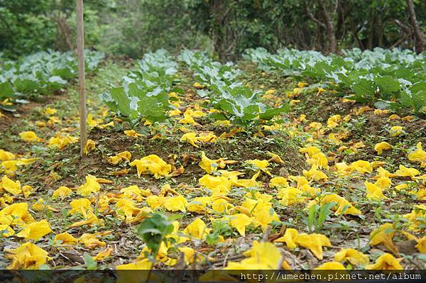 DSC00125.JPG DSC00125.JPG