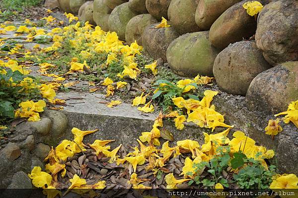 DSC00126.JPG DSC00126.JPG