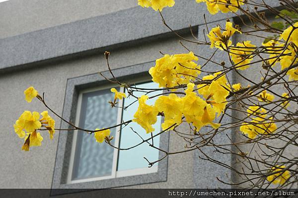 DSC00128.JPG DSC00128.JPG