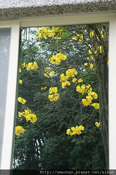 DSC00130.JPG DSC00130.JPG