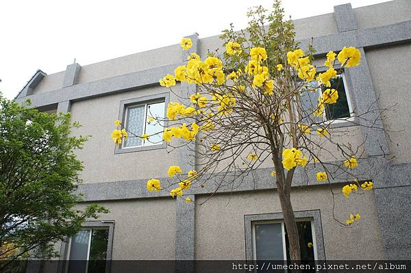 DSC00131.JPG DSC00131.JPG