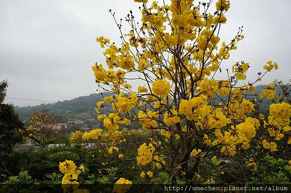 DSC00133.JPG DSC00133.JPG