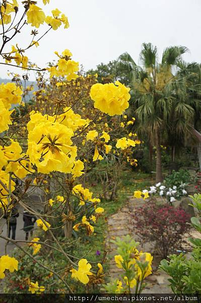 DSC00135.JPG DSC00135.JPG