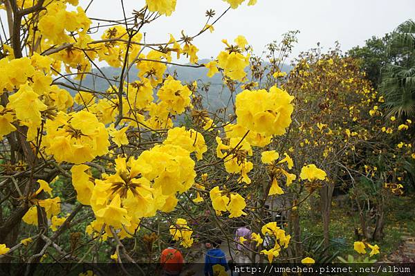 DSC00136.JPG DSC00136.JPG