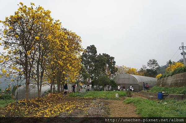 DSC00163.JPG DSC00163.JPG