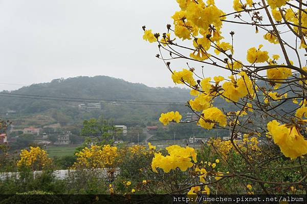 DSC00142.JPG DSC00142.JPG