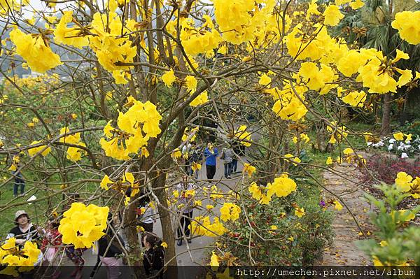 DSC00144.JPG DSC00144.JPG