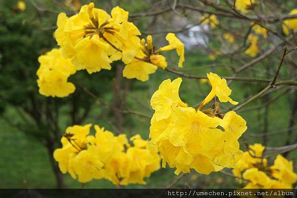 DSC00145.JPG DSC00145.JPG