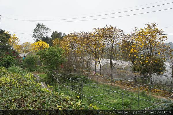 DSC00148.JPG DSC00148.JPG