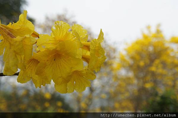 DSC00153.JPG DSC00153.JPG