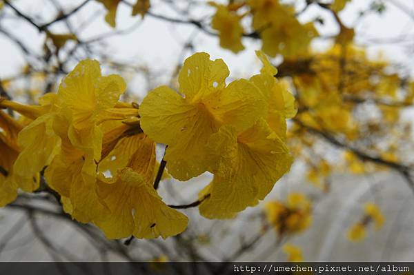 DSC00154.JPG DSC00154.JPG