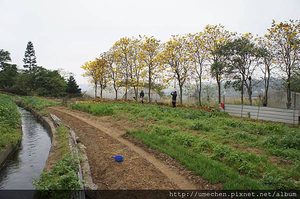 DSC00157.JPG DSC00157.JPG