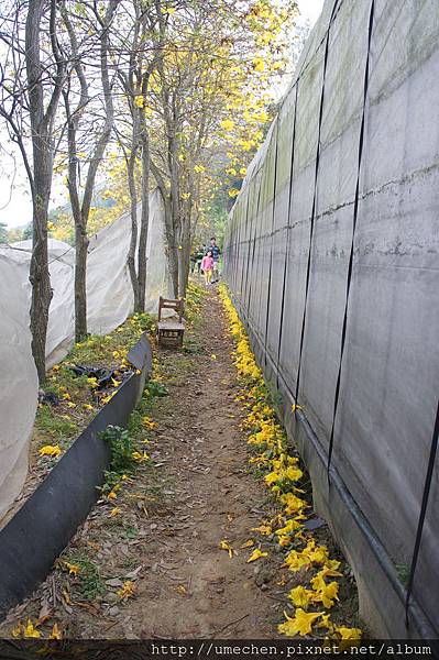 DSC00158.JPG DSC00158.JPG