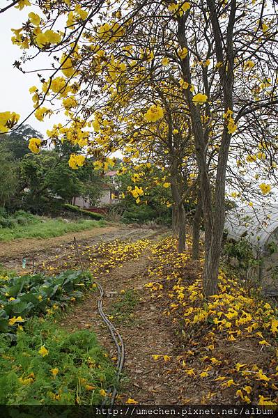 DSC00159.JPG DSC00159.JPG