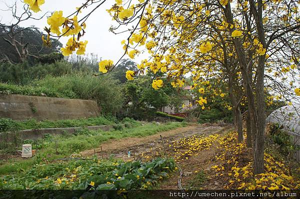 DSC00160.JPG DSC00160.JPG