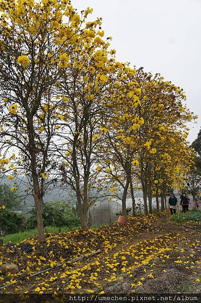 DSC00164.JPG DSC00164.JPG