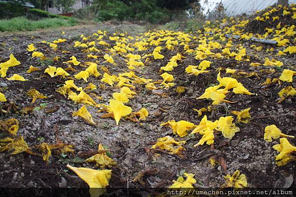 DSC00165.JPG DSC00165.JPG