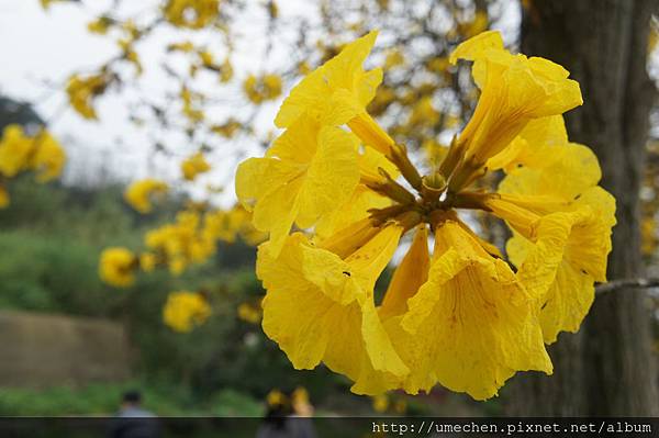 DSC00168.JPG DSC00168.JPG