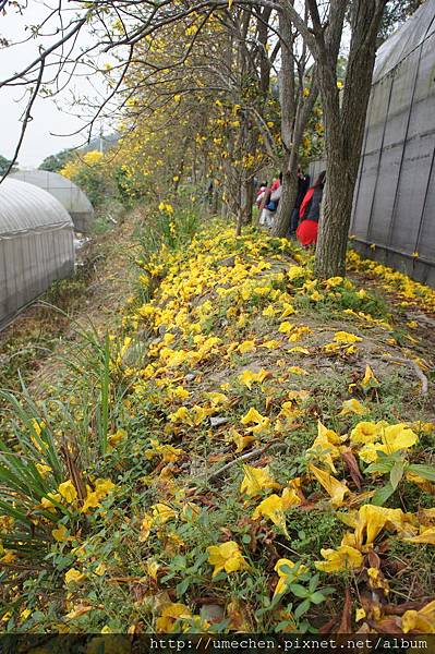 DSC00170.JPG DSC00170.JPG