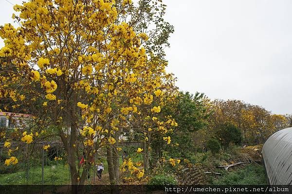 DSC00173.JPG DSC00173.JPG