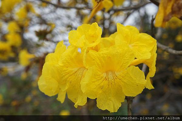 DSC00178.JPG DSC00178.JPG