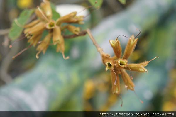 DSC00182.JPG DSC00182.JPG