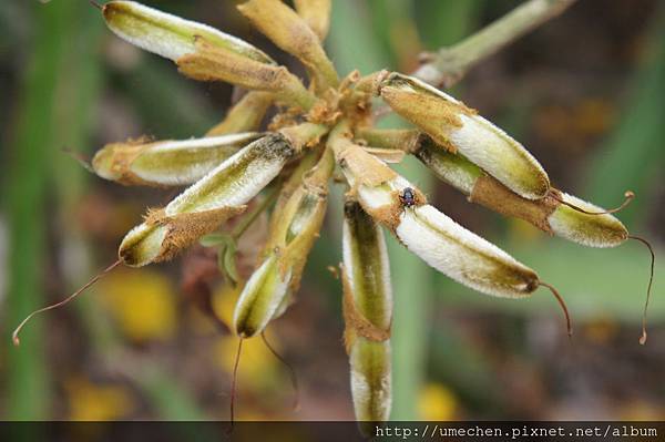 DSC00183.JPG DSC00183.JPG