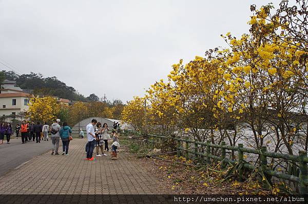 DSC00184.JPG DSC00184.JPG