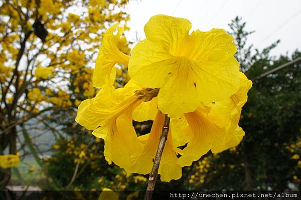 DSC00186.JPG DSC00186.JPG