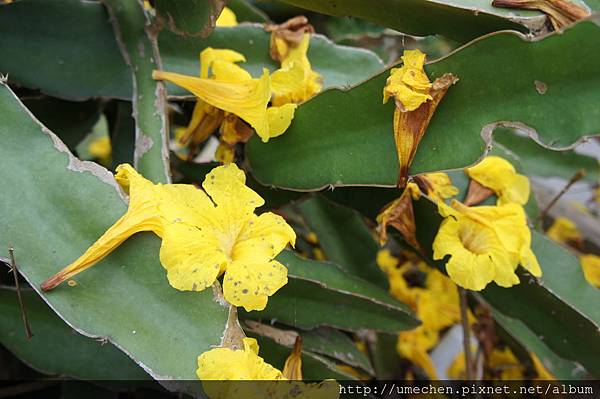 DSC00187.JPG DSC00187.JPG