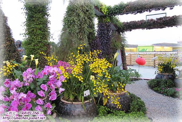 花圃競賽區-雲林縣.jpg 花圃競賽區-雲林縣.jpg