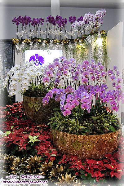 爭豔館-聖誕花宴-台糖-2.jpg 爭豔館-聖誕花宴-台糖-2.jpg