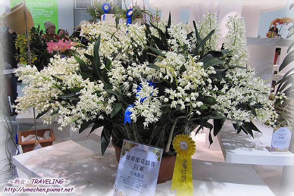 IMG_2218.jpg IMG_2218.jpg