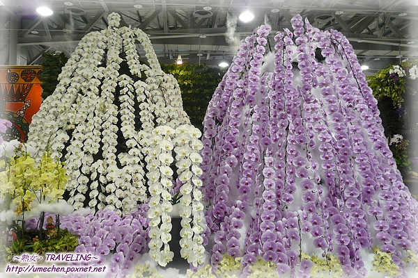 爭豔館-國際展-屏東科龍國際-5.jpg 爭豔館-國際展-屏東科龍國際-5.jpg