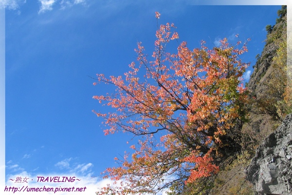 赤土河風光-粉紅的秋色.jpg 赤土河風光-粉紅的秋色.jpg