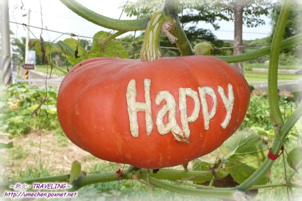 牛奶故鄉-南瓜刻字-HAPPY.jpg 牛奶故鄉-南瓜刻字-HAPPY.jpg