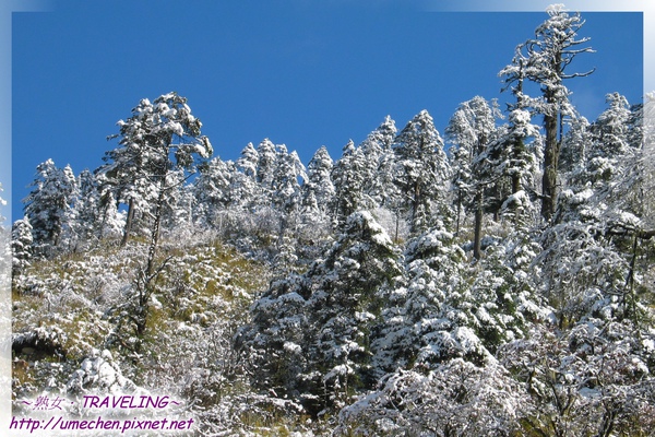 磨榆公路-山坡樹林雪景(2).jpg 磨榆公路-山坡樹林雪景(2).jpg