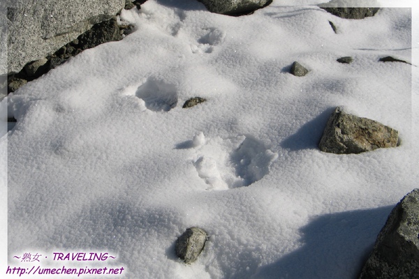 一號冰川-我在冰川上的腳印.jpg 一號冰川-我在冰川上的腳印.jpg
