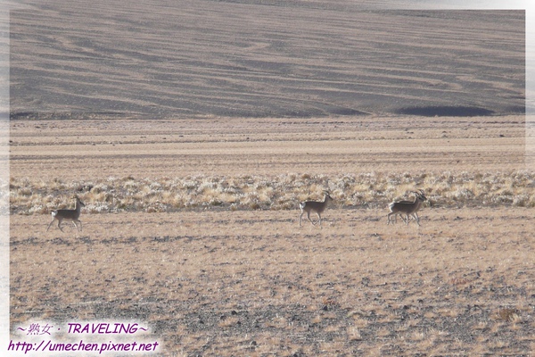 P1050670.jpg P1050670.jpg