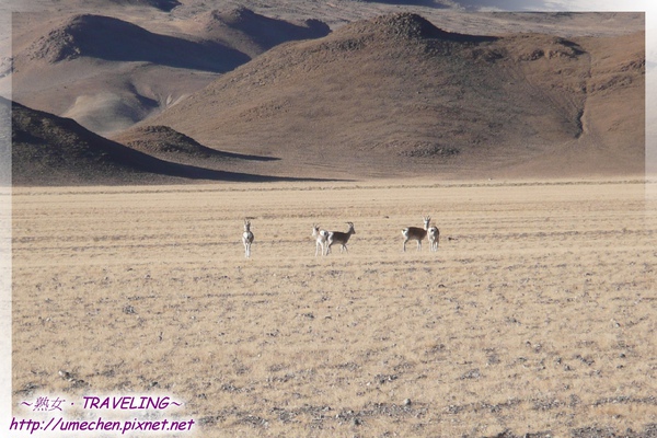 P1050674.jpg P1050674.jpg