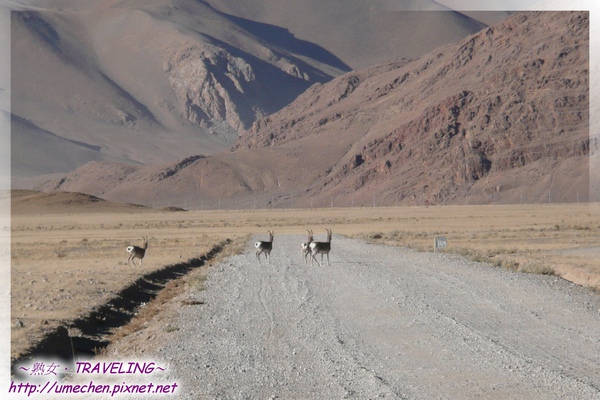 P1050677.jpg P1050677.jpg