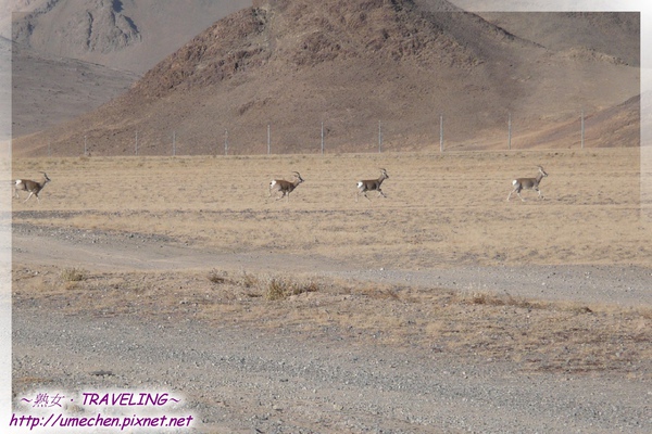 P1050679.jpg P1050679.jpg