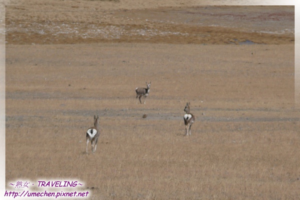 P1030964.jpg P1030964.jpg