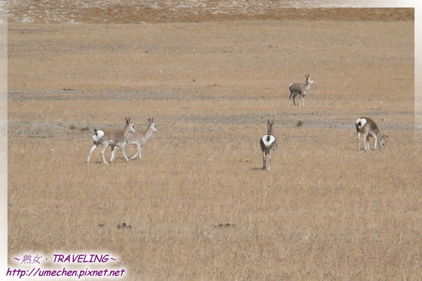 P1030965.jpg P1030965.jpg