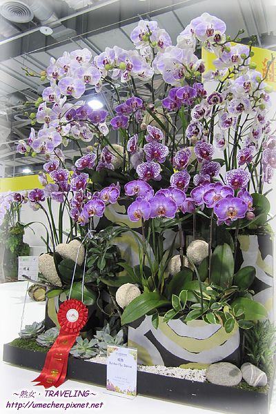 IMG_2217.jpg IMG_2217.jpg